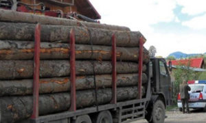 doi-soferi-amendati-cu-cate-5-000-lei-si-material-lemnos-confiscat
