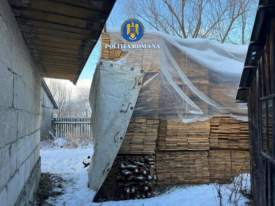 APROAPE 100 DE METRI CUBI DE LEMN ÎN VALOARE DE PESTE 65.000 LEI CONFISCAT DUPĂ O PERCHEZIȚIE DOMICILIARĂ ÎN ZONA MĂLINI